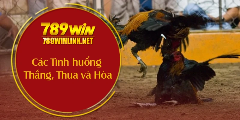 Các Tình huống Thắng, Thua, và Hòa