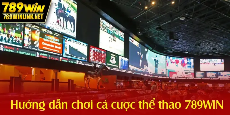 Cá cược thể thao - Đa dạng kèo cược hấp dẫn